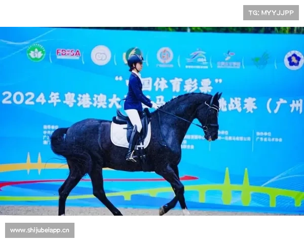 粤港澳全运会倒计时启动 马术等三地联办项目首次亮相