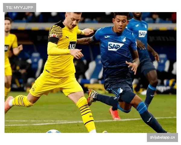 美因茨对阵霍芬海姆赛前分析 德甲保级大战牵动两队命运